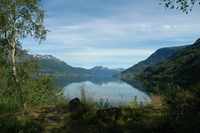 De Hardangerfjord vanaf Route 13 (Noorwegen - 2015)